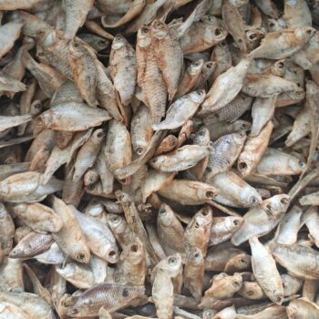 Dry Puthi Maas(500gms)