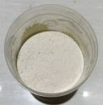 WhatsApp Image 2026-01-27 at 12.58.45 AM