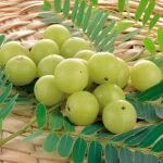 517C7mpjQyL._SX300_SY300_QL70_FMwebp_