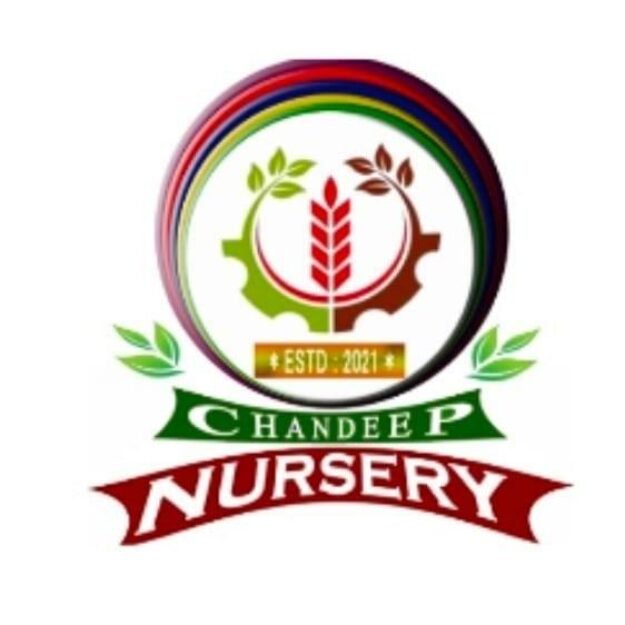 Chandeep Nursery