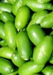 Assam Lemon Kazi Nimbu (2kg) Pack of 15-20 pieces
