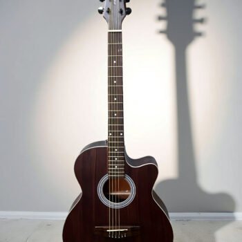Acoustic Guitar