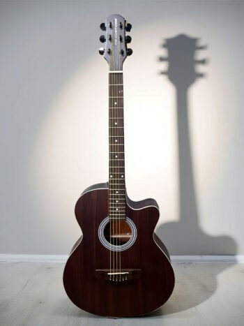 Semi Acoustic Guitar X2 (Dark Wood)