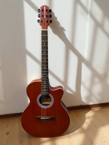 Semi Acoustic Guitar X2 (Natural Wood)