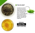TULSI copy