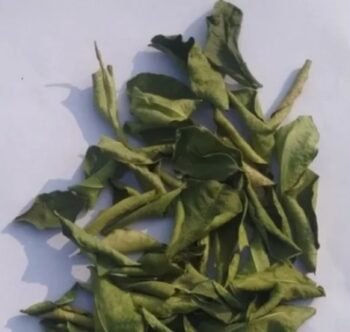 Kazi Nimbu Leaves 20g – Assam Lemon Leaf Spice for Aromatic Indian Cooking | Enhances Curry, Meat, Seafood, Tea, Marinades, Soups & Chutney