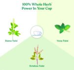 TULSI copy