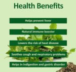 TULSI copy