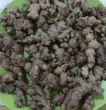 Black Ginger/ Moran Aada 250 Grams