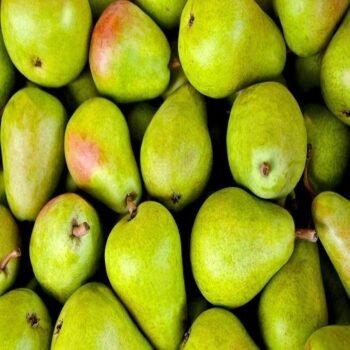 Nagfal 500gm Fruit