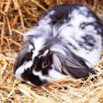 WhatsApp Image 2026-01-13 at 12.03.38 AM (1)