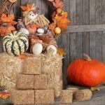 WhatsApp Image 2026-01-13 at 12.03.38 AM (1)