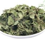 51T6DVN6TEL._AC_UF1000,1000_QL80_