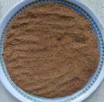 WhatsApp Image 2026-01-12 at 2.02.19 PM