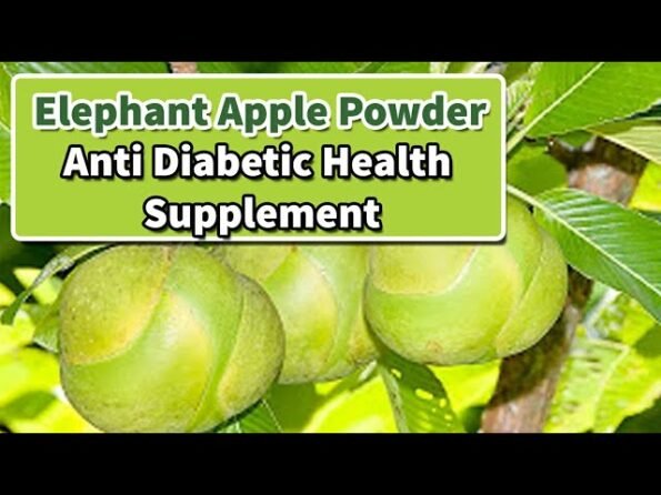 Elephant Apple powder medicinal uses