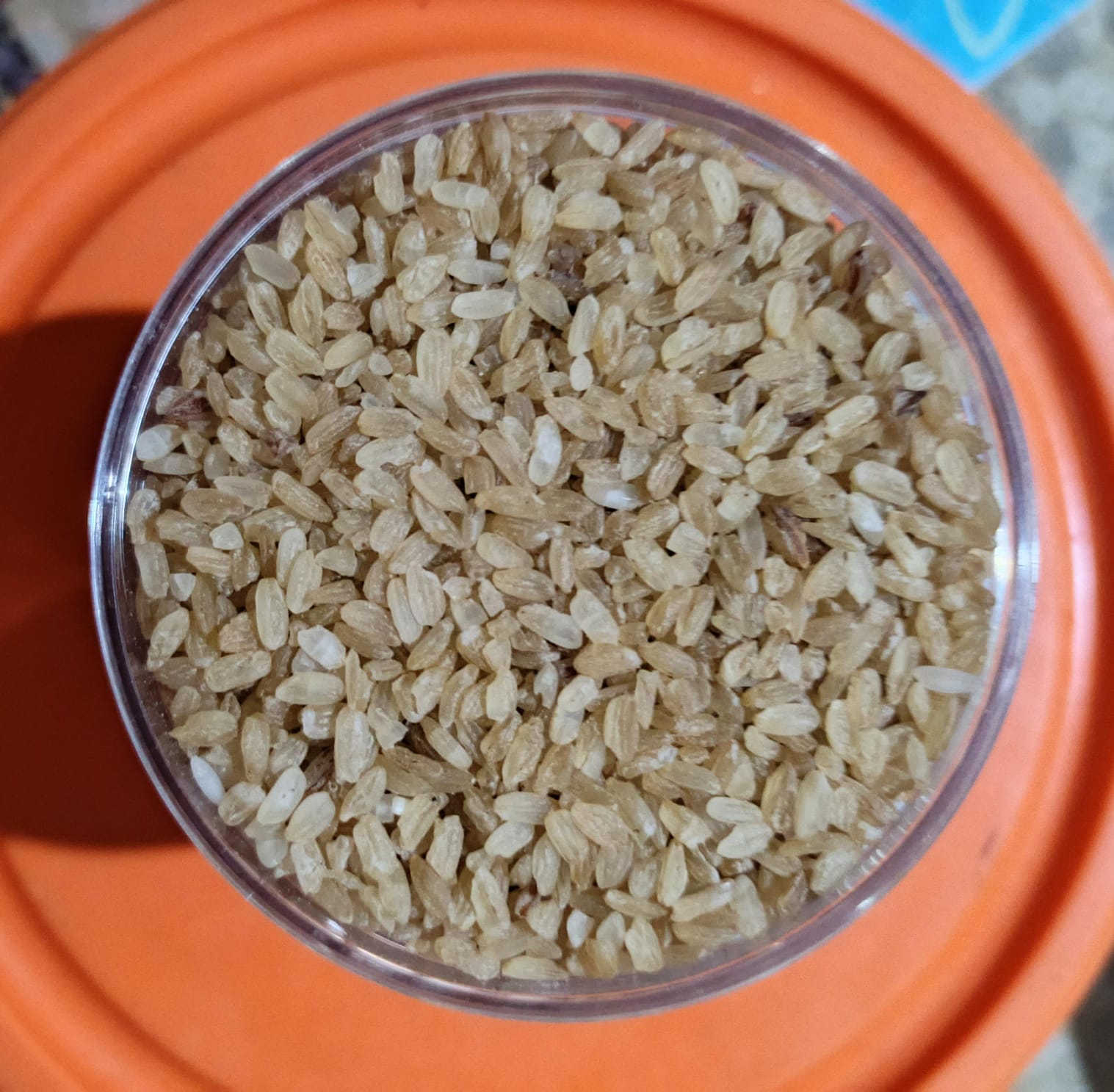 Sassool Rice Magic Rice of Assam (Komal Saul): Ancient Superfood with Incredible ...