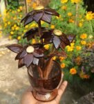 WhatsApp Image 2026-01-23 at 10.07.36 AM (1)