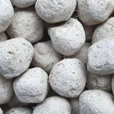 The Ancient Assamese Fermentation Secret: How Haazor Pitha Creates Rice Beer Magic