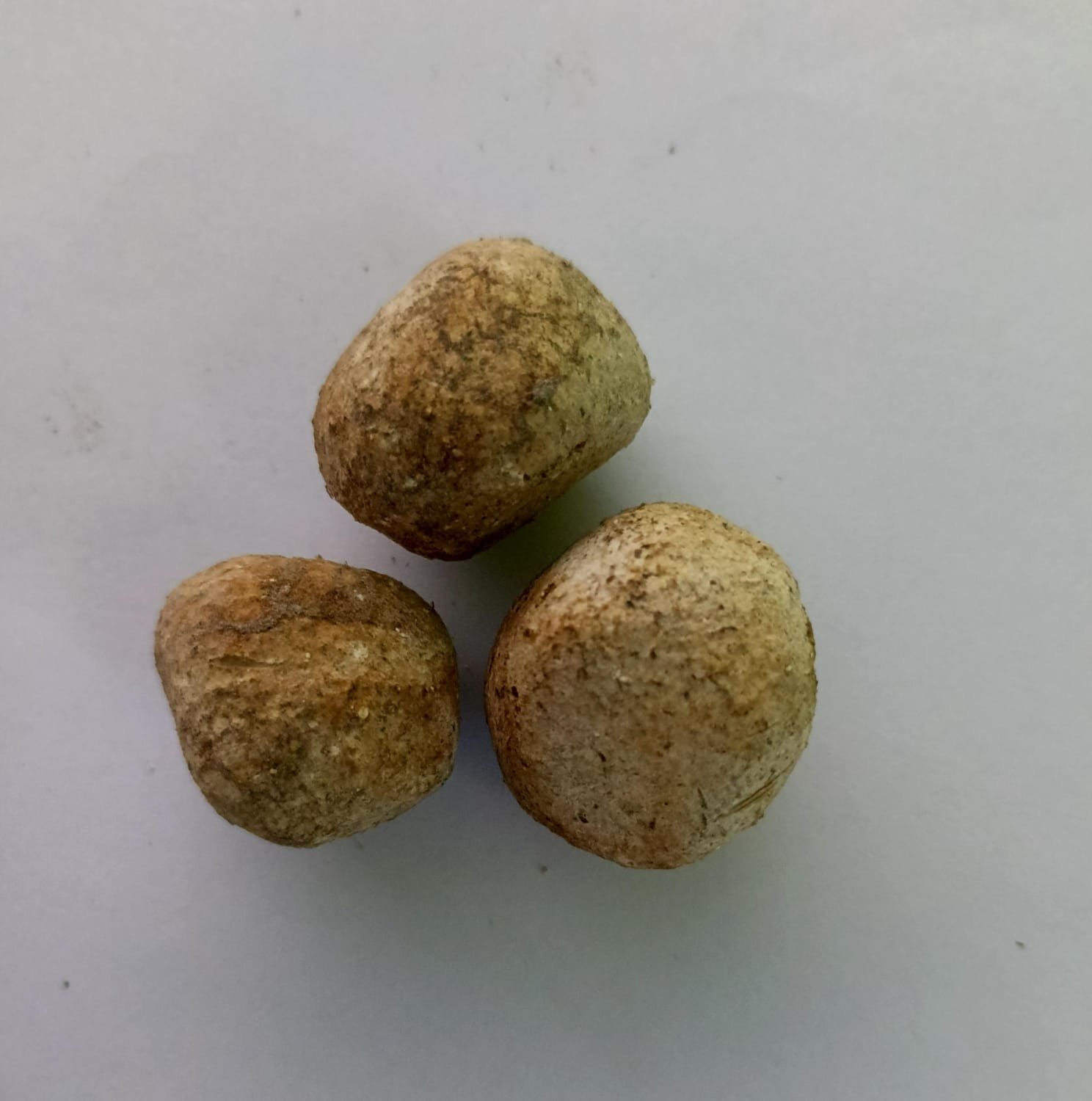 WhatsApp Image 2026-02-18 at 2.58.30 PM Haazor pitha