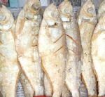 Elish Maas Dry(500gms)