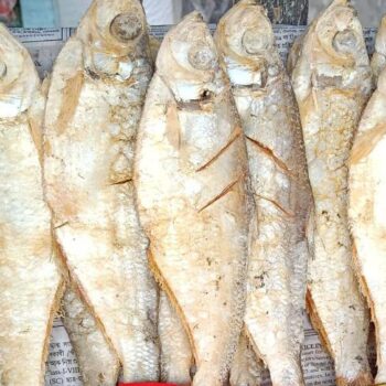 Elish Maas Dry(500gms)