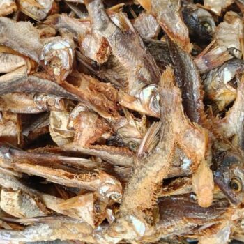 Kati Maas Dry(500gms)