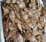 Hafo puthi maas (500gms)