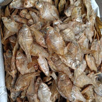 Hafo puthi maas (500gms)