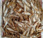 Selpona Maas Dry (500gms)