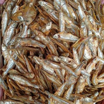 Selpona Maas Dry (500gms)