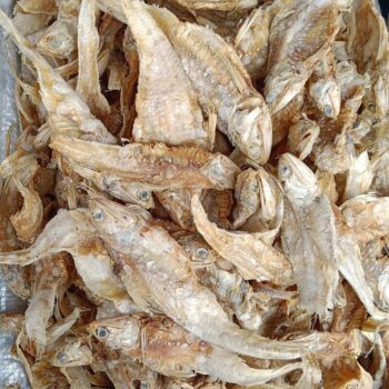 Holua Maas Dry (500Grams)