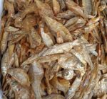 Poroti Hafo Maas Mix Dry (500Gms)