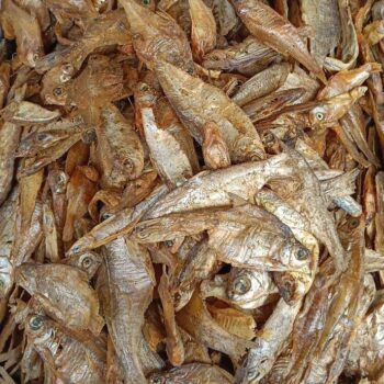 Poroti Hafo Maas Mix Dry (500Gms)