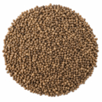 Perilla Seeds