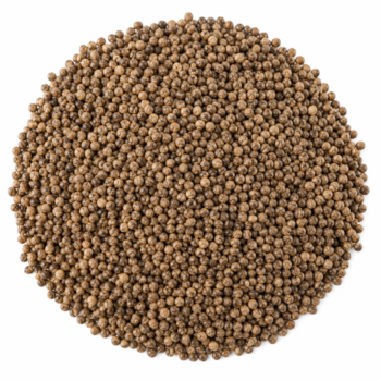 Perilla Seeds