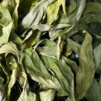 Sabah Snake Grass Leaves (50gms)